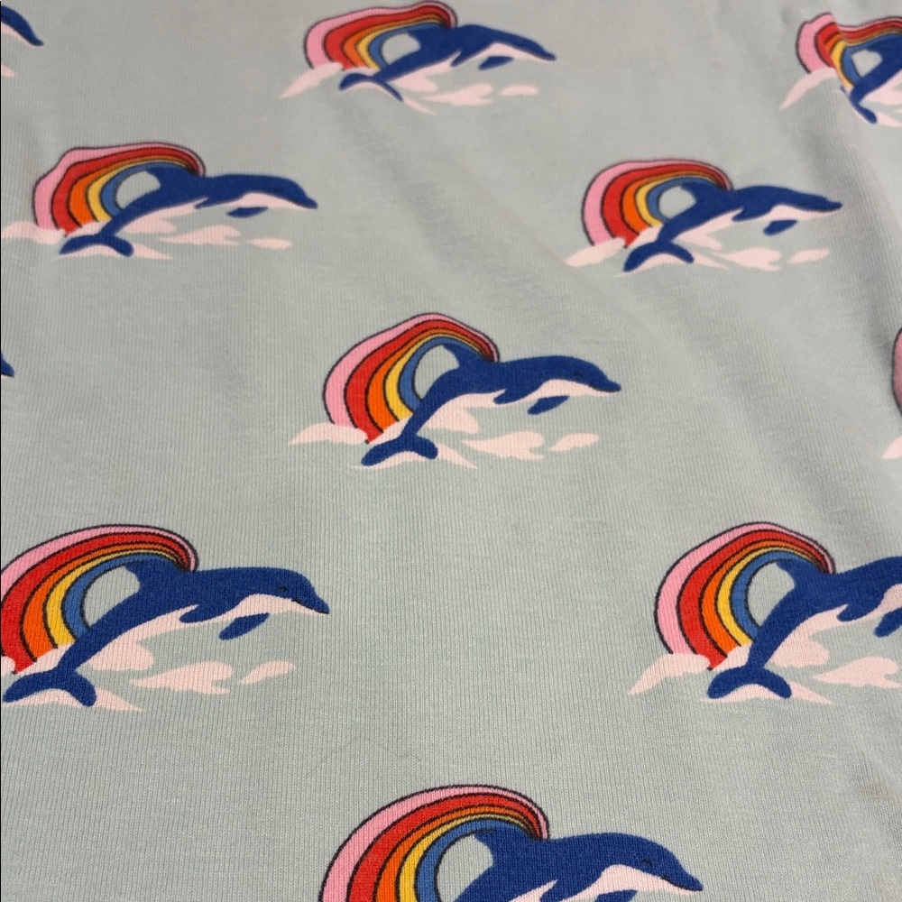 Hanna Andersson Blue Pajama Set with Rainbow and Dolphin Print - Picture 3 of 4